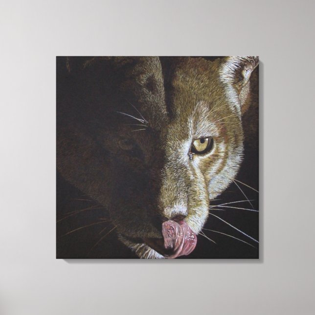 Cougar Night Canvastryck (Framsida)