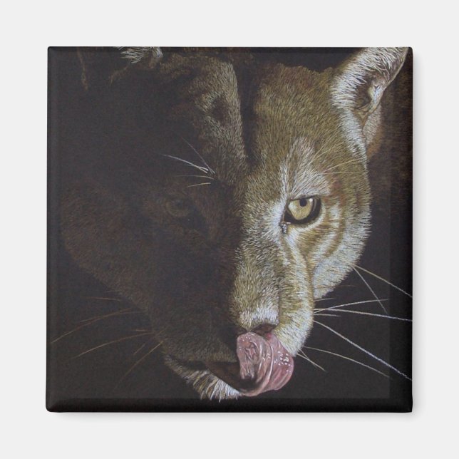 Cougar Night Magnet (Framsidan)