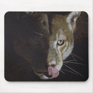 Cougar Night Musmatta