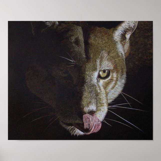 Cougar Night Poster (Framsidan)