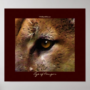 COUGAR ÖGA Art Poster