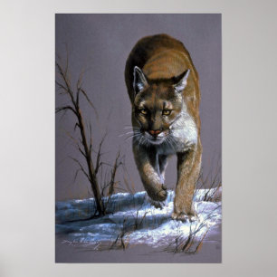Cougar Poster