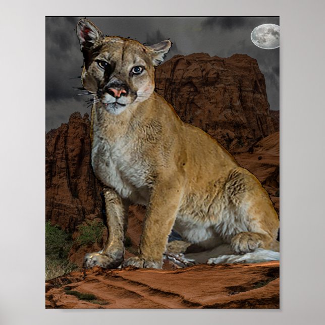 Cougar Poster (Framsidan)