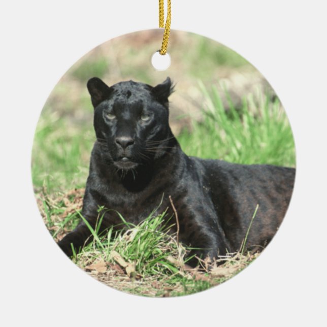 Cougar Rest Ornament (Framsidan)