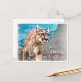 Cougar Vykort