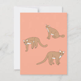 Cougar Vykort