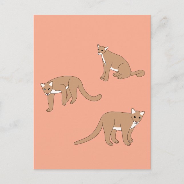 Cougar Vykort (Framsida)