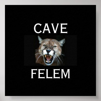 COUGARBeware of the Cat - in Latin. - Anpassad Poster