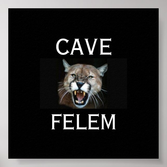 COUGARBeware of the Cat - in Latin. - Anpassad Poster (Framsidan)