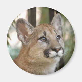 cougarCub5-10x10 Magnet