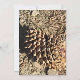 Coulter Pinecone Julkort