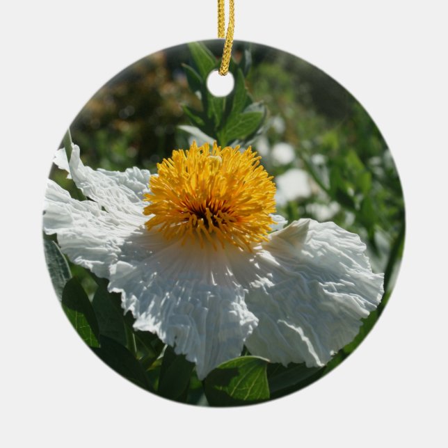 Coulters Matilija Poppy Julgransprydnad Keramik (Framsidan)