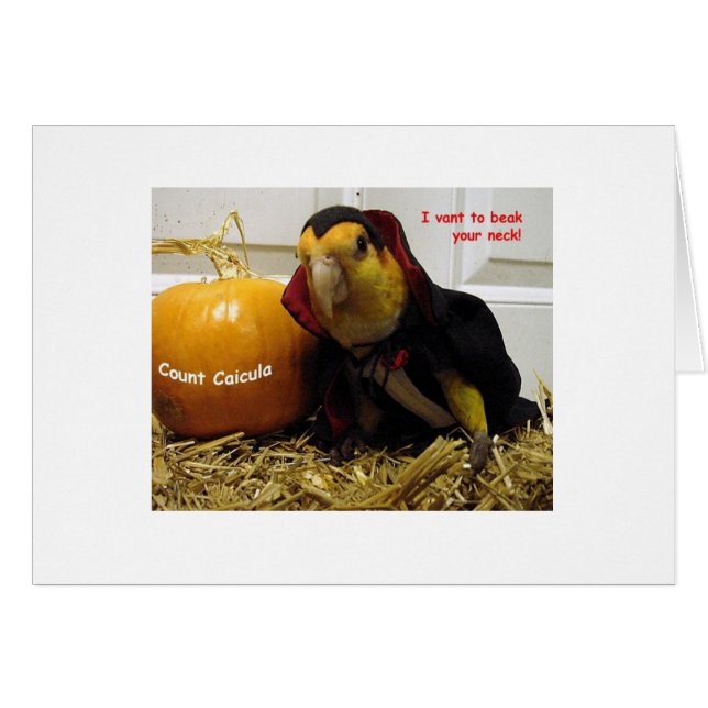 Count Caicula Hälsningskort (Framsidan Horizontal)