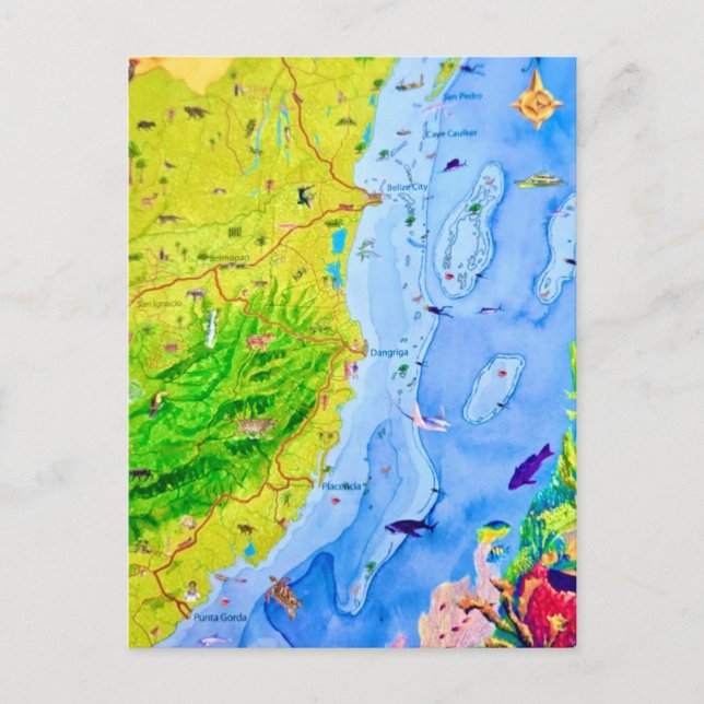 Country of  Belize Postcard Vykort (Framsida)