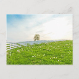 Country spring landscape. vykort