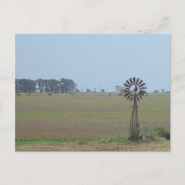 Country Windmill postcard Vykort (Framsida)