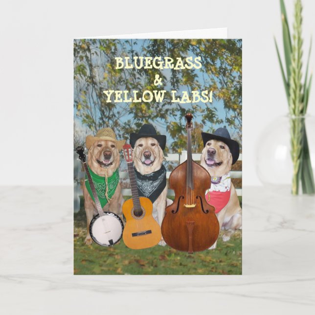 Countrymusik & labbanpassadefödelsedag kort (Framsida)