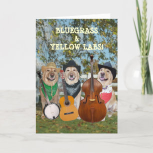 Countrymusik & labbanpassadefödelsedag kort