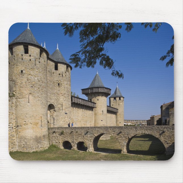 Counts slott, Carcassonne, Aude, Languedoc, Musmatta (Framsidan)