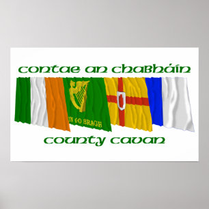 County Cavan Flaggor Poster