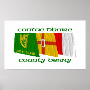County Derry Flaggor Poster