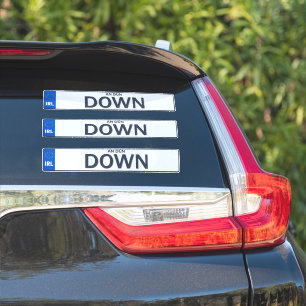 County Down Irish Reg Plate Decal Stickers x 3 Klistermärken