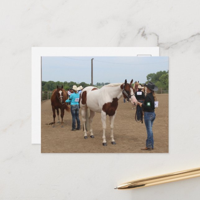 County Fair Showmanship Paints and Quarter Horses Vykort (Fram/Back In Situ)
