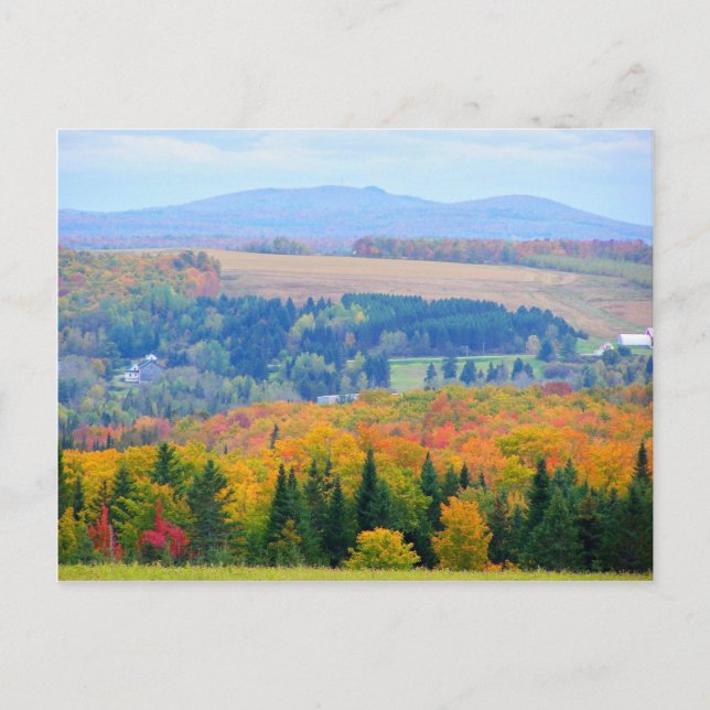 County Farmland Vykort (Framsida)