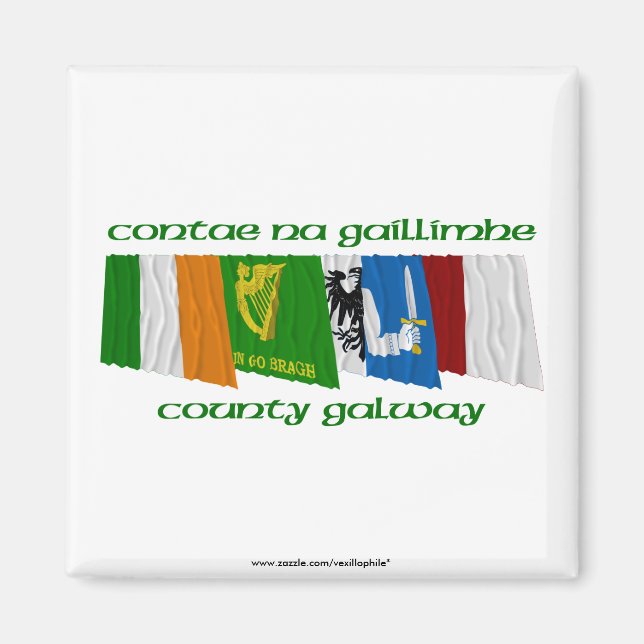 County Galway Flaggor Magnet (Framsidan)