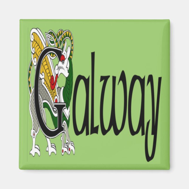 County Galway Magnet (Framsidan)