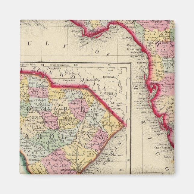 County Karta of Florida Magnet (Framsidan)