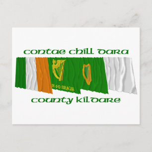 County Kildare Flaggor Vykort