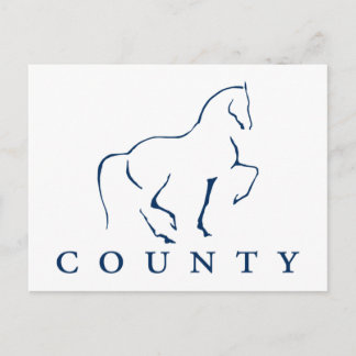 COUNTY SADDLERY DRESSYR VYKORT