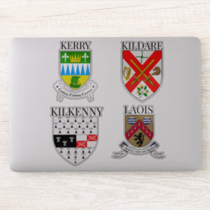 County Vapenskölds of Ireland Sticker Series 13-16 Klistermärken