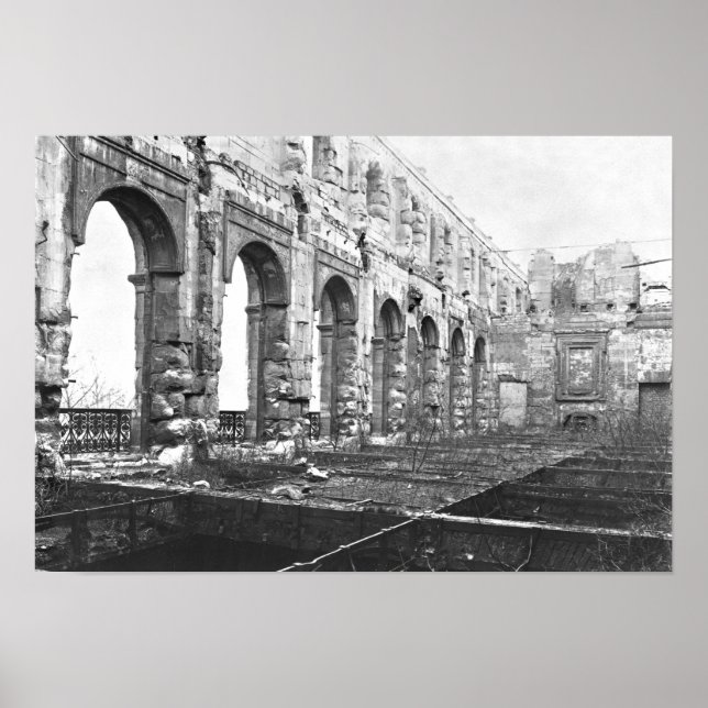 Cour des Comptes ruins Poster (Framsidan)