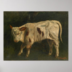 Courbet - Calf Poster
