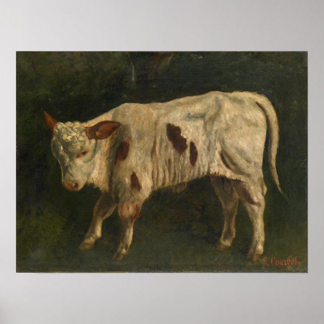 Courbet - Calf Poster (Framsidan)