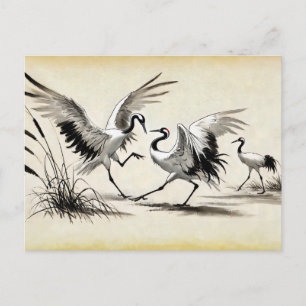 Courship Dance of Two Cranes in Marsh Chinese Vykort