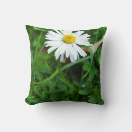 Coussin décoratif, marguerite, fleur  kudde