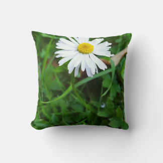 Coussin décoratif, marguerite, fleur  kudde