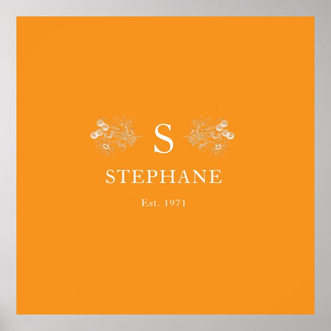 Coussin Elégance Moderne Poster (Framsidan)