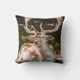 Coussin photo cerf sous les bois kudde