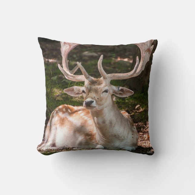 Coussin photo cerf sous les bois kudde (Framsida)
