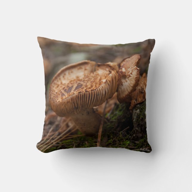 Coussin, photo de champignons kudde (Framsida)