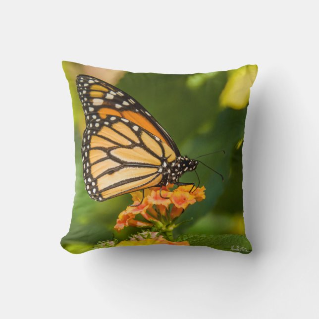 Coussin photo d'un papillon kudde (Framsida)