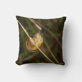 Coussin photo insecte dans coquille kudde