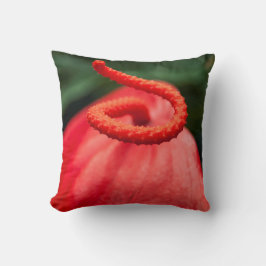 Coussin photo une fleur rouge. kudde