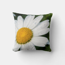 Coussin photo, une margueritte, font vert