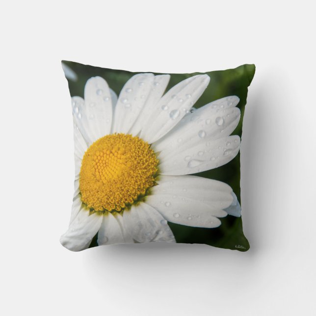 Coussin photo, une margueritte, font vert kudde (Framsida)