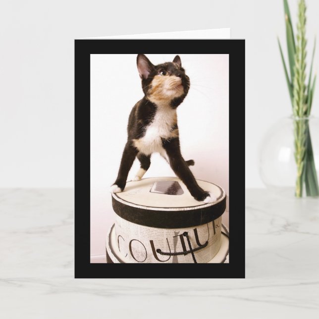 Couturekatt Kort (Framsida)